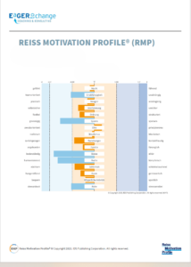 REISS Motivation Profile